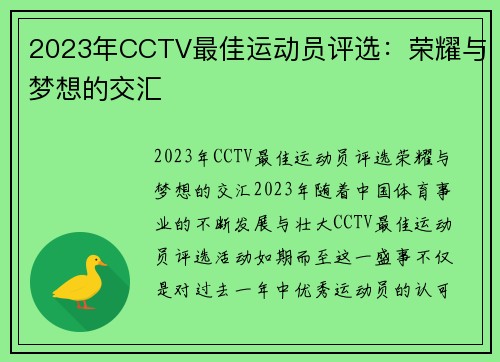 2023年CCTV最佳运动员评选：荣耀与梦想的交汇